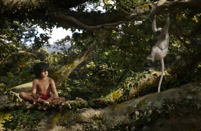 10 лучших приключенческих фильмов и фильмов о джунглях